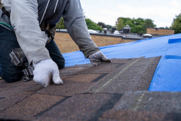 Roof Waterproofing Services in Trinity, TX