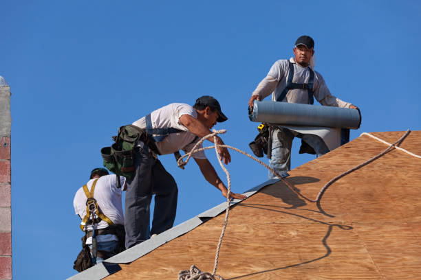 Best Flat Roof Repair Services  in Trinity, TX