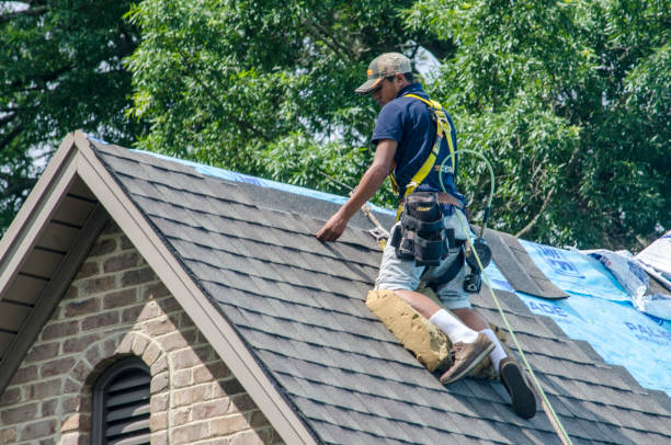 Best Residential Roofing Contractor  in Trinity, TX